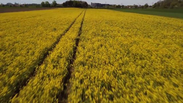 Бугай вломился в дом богатой вдовы и принялся угрожать, не зная кто у него уже за спиной смотреть онлайн
