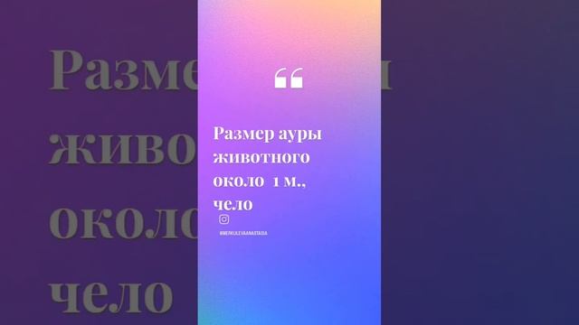 Как укрепить ауру смотреть онлайн