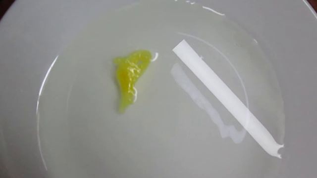 ? Морские животные из капсул - серия 5. Губка Косатка ? . Видео для детей про детские опыты смотреть онлайн