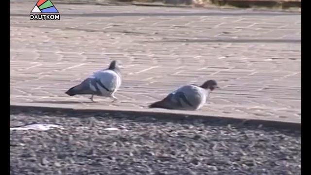 Приближается День святого Валентина смотреть онлайн