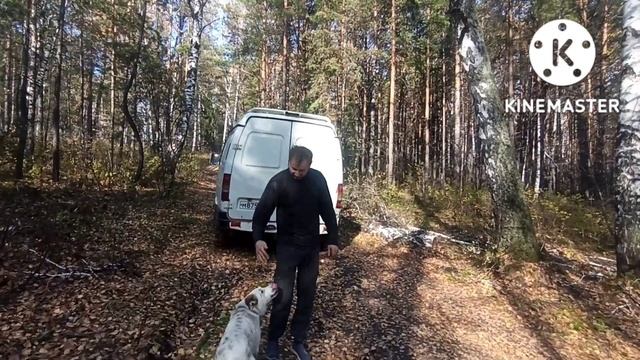 СОБОЛЬ 2752 4Х4 смотреть онлайн