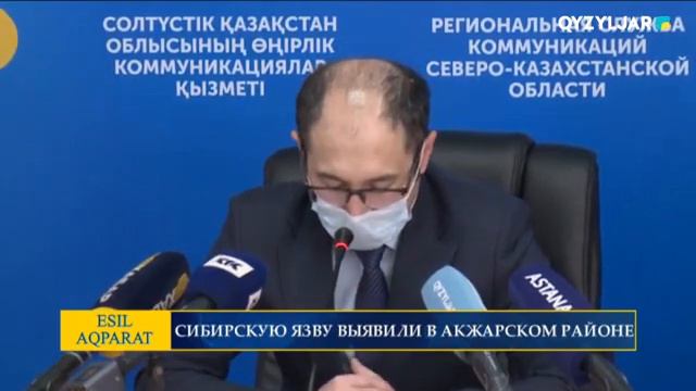СИБИРСКУЮ ЯЗВУ ВЫЯВИЛИ В АКЖАРСКОМ РАЙОНЕ смотреть онлайн