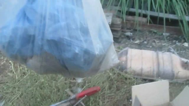 Сдал КАТАЛИЗАТОР от ALFA-ROMEO 164 3L V6. Сколько денег заработал?.. смотреть онлайн