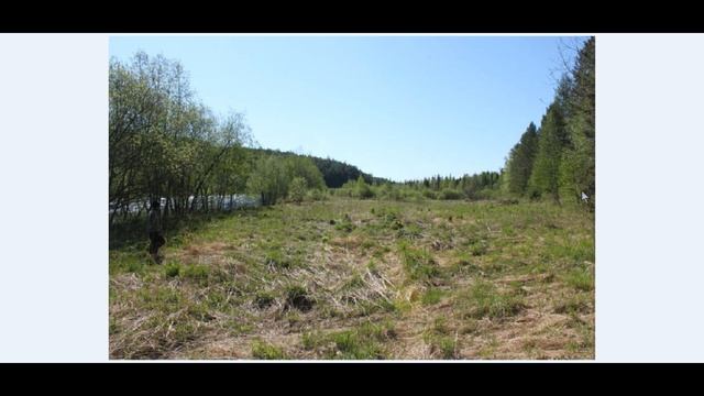 Ремарка по последней серии .