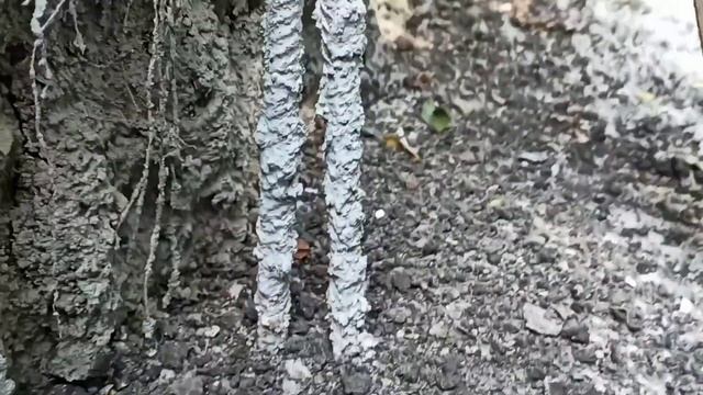 Бюджетный септик своими руками и без опыта. Часть 1.