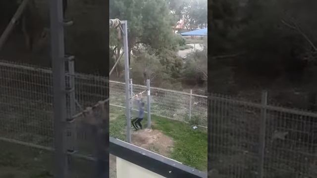 60 подтягивания 9 лет на выносливость смотреть онлайн