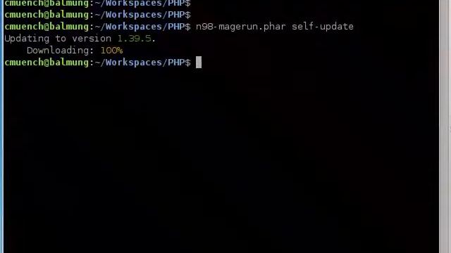 n98-magerun self-update command смотреть онлайн