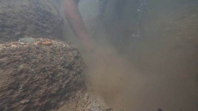 Gold Rush,!!!underwater Gold, Old Is Gold, Gold Digger,gold,gold Rate Today