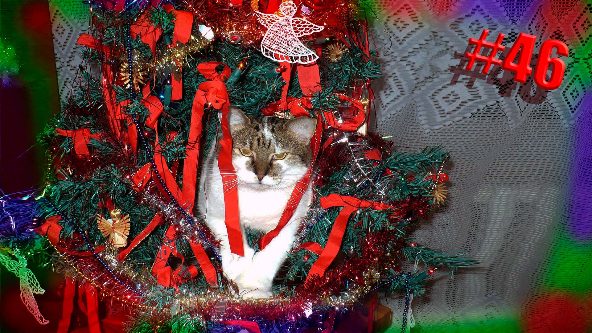 781 секунда Смеха ?? Смешных моментов | Милые котики Приколы с котами ?? Смешные коты #46 смотреть онлайн