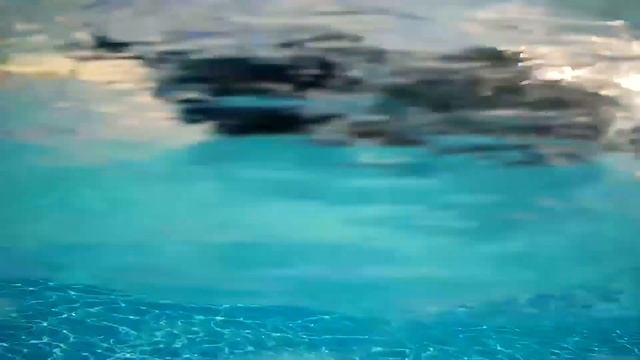 Счастливые дети - свободные родители. ГРК "Альбатрос" смотреть онлайн