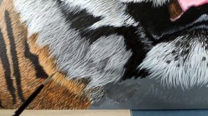 как нарисовать белую шерсть тигра акрилом.