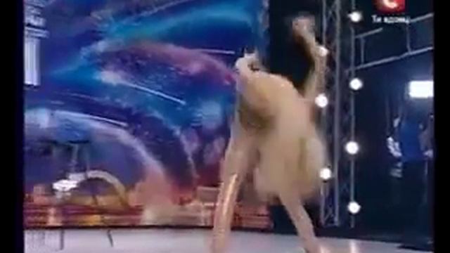Девушка без костей! Вот это да! смотреть онлайн