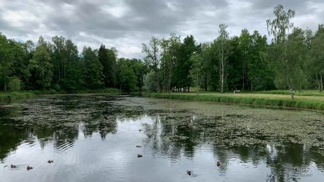В поисках вдохновения | За пределами Санкт Петербурга смотреть онлайн