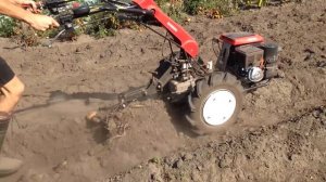 Чем лучше копать картофель? Окучник. Плуг. Веерная картофелекопалка.