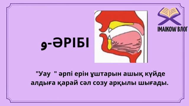 ҚҰРАН ОҚЫП ҮЙРЕНУ /махрадж #арабтілі #арабскийалфавит #құран смотреть онлайн