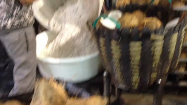 Как делают кокосовую стружку. Таиланд. смотреть онлайн
