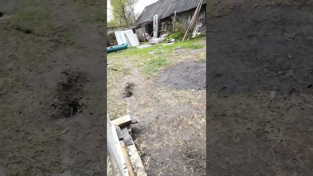 Теплица из оконных рам своими руками ? смотреть онлайн