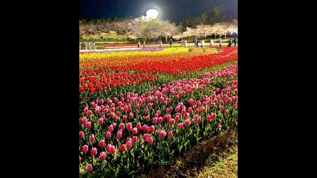 338 Сон про три этапа 👆 смотреть онлайн