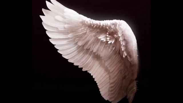 какие крылья по зз смотреть онлайн