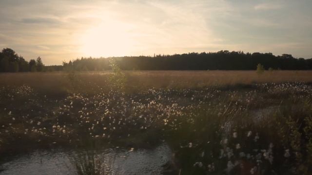 ДОЧЕРИ БЕЗ МАТЕРЕЙ, как пережить утрату - Эдельман Хоуп - ЗА 20 МИН смотреть онлайн