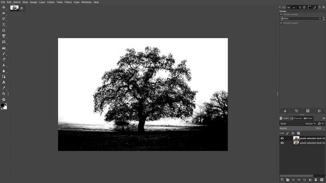 GIMP Remove Background Details смотреть онлайн