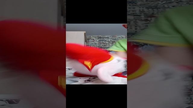 VID_20240114_142648.mp4