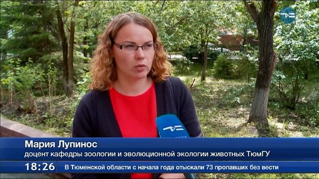 Гнезда на трассе