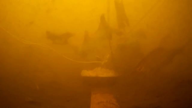 ТАК ВОТ ОТ ЧЕГО ДУРЕЕТ ВСЯ РЫБА! Реакция рыбы на уксус. Подводная съемка смотреть онлайн