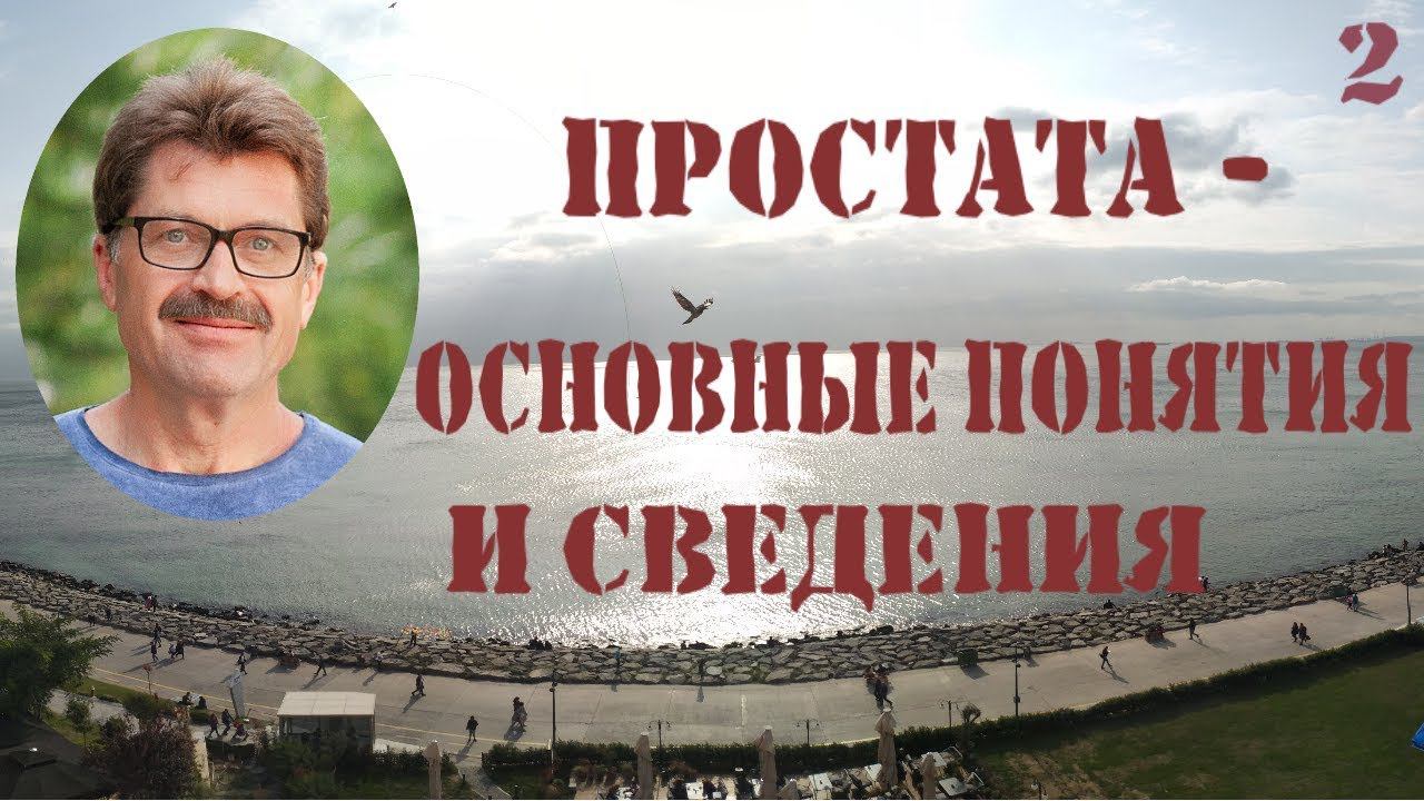 Простата - основные понятия и сведения