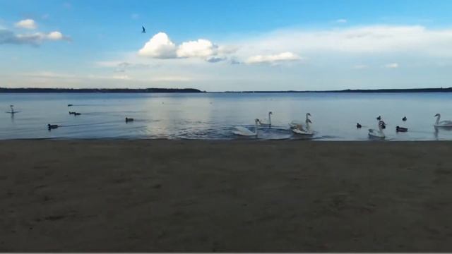 Parrot Bebop 2 - Zegrze 2016 смотреть онлайн