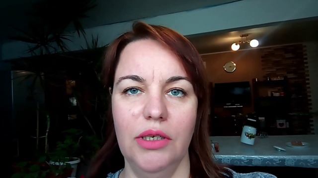 Как отучить собаку лазить по столам. смотреть онлайн