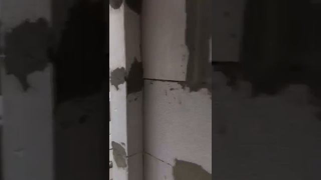 Танхаус Реймс смотреть онлайн