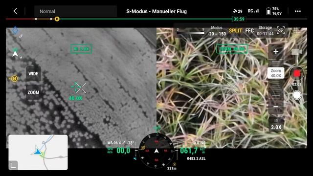 Wo sind die Sauen im Schilf? Finden wir Wild mit der DJI Mavic 3T und welche höhen kann man fliegen смотреть онлайн