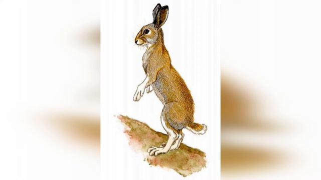 Кладовая солнца. 10 глава. Краткое содержание смотреть онлайн