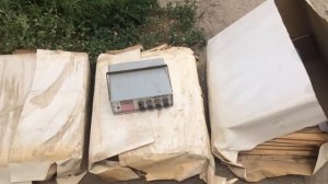 Сбор пчелиного яда