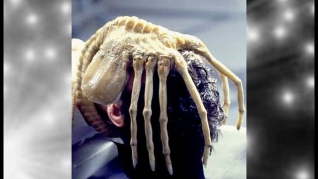 Чужой 1979,Alien 1979 смотреть онлайн