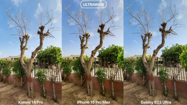 Xiaomi 14 Pro VS iPhone 15 Pro Max VS Galaxy S23 Ultra Camera Test Comparison смотреть онлайн