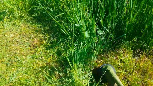 КАК ПРАВИЛЬНО КОСИТЬ ТРИММЕРОМ ТРАВУ ТРИМЕР БЕНЗИНОВЫЙ STIHL FS 55 смотреть онлайн