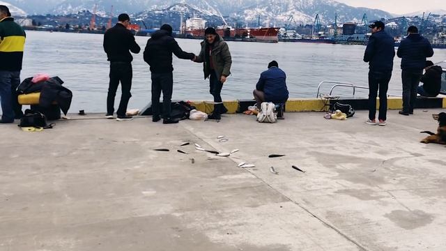 Батуми 2021. Выбираем яхту . Морской вокзал . Новый ресторан . Отличная прогулка. Грузия. смотреть онлайн