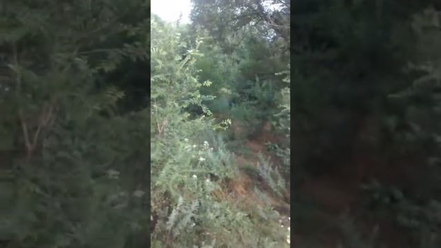 Старый кирпичный завод! смотреть онлайн