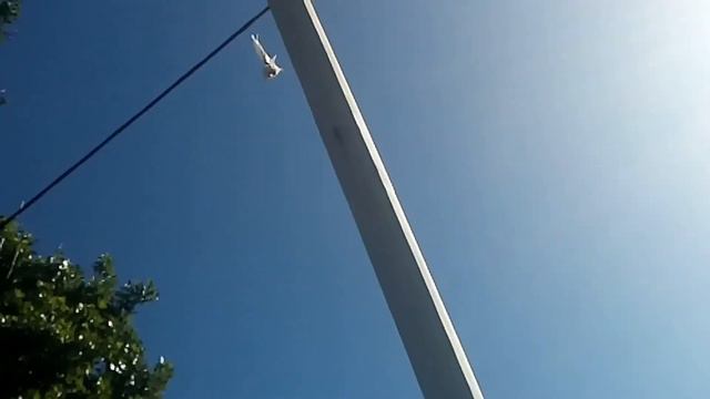 Возвращение голубя после пропажи на следующий день.(2) смотреть онлайн