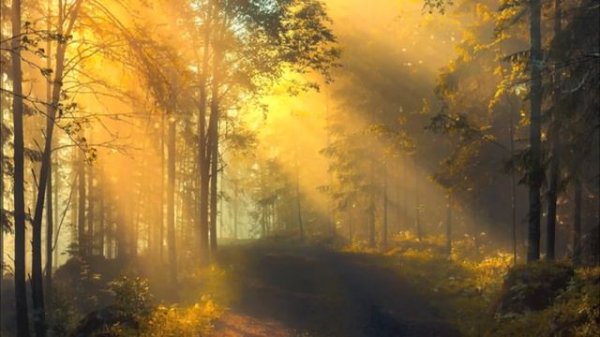 Kovacs - My Love (Henri Pfr Remix)