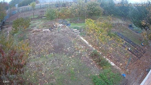Пока на даче нет хозяев (серия 2) вот что происходит! Как же их стало много всего за 1 лето! смотреть онлайн