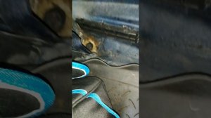 ВОДА в багажнике Hyundai Accent ТАГАЗ