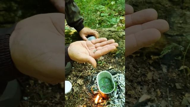 Выживаю в лесу, варю суп из крапивы и жуков смотреть онлайн