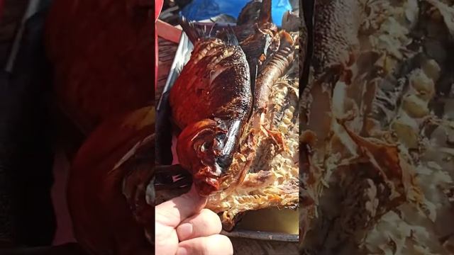 Карелия 2020. оз. Тунгуда. налим горячего копчения смотреть онлайн