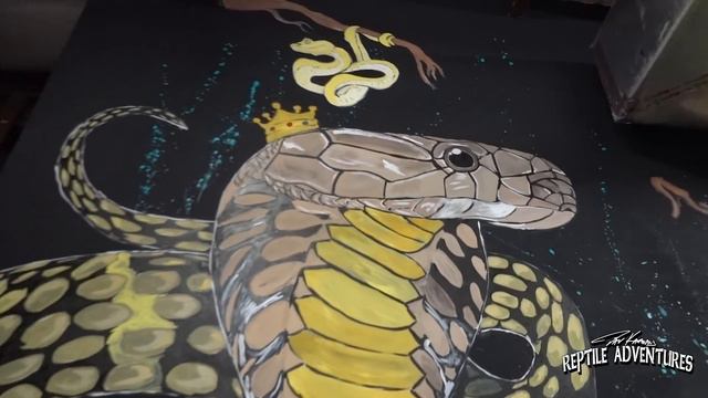 SHREK, THE GIANT MONITOR LIZARD VISITS CHANDLER'S WILD LIFE! смотреть онлайн