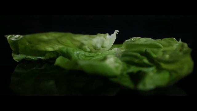 САМЫЙ БУРГЕРНЫЙ РОЛИК О StarBurger