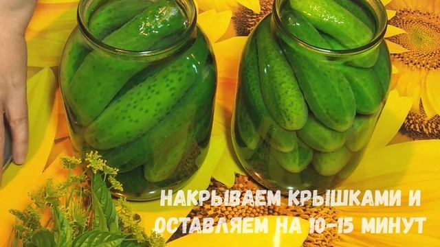 Сделайте МАРИНОВАННЫЕ ОГУРЦЫ по ЭТОМУ РЕЦЕПТУ и вы будете зимой меня благодарить! смотреть онлайн