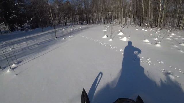 Зимний лес, следы зверей и снегоходов, путешествие по насту 20.01.2024 смотреть онлайн